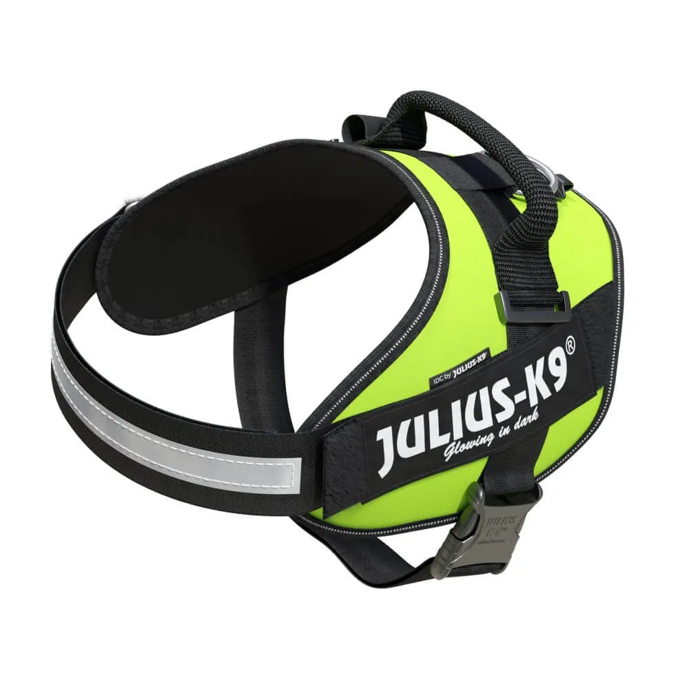 Ham JK9 IDC Power - XL - Neon