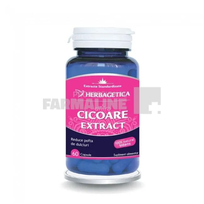Cicoare extract 60 capsule