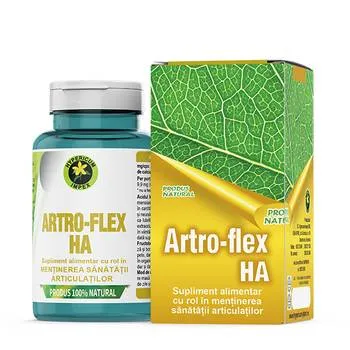 Artro Flex HA, 60 capsule, Hypericum