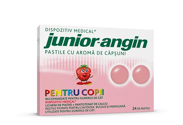 JUNIOR ANGIN X 24 PASTILE