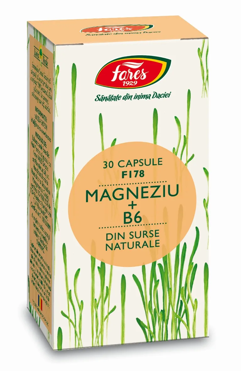 Magneziu + B6 x 30cps (Fares)