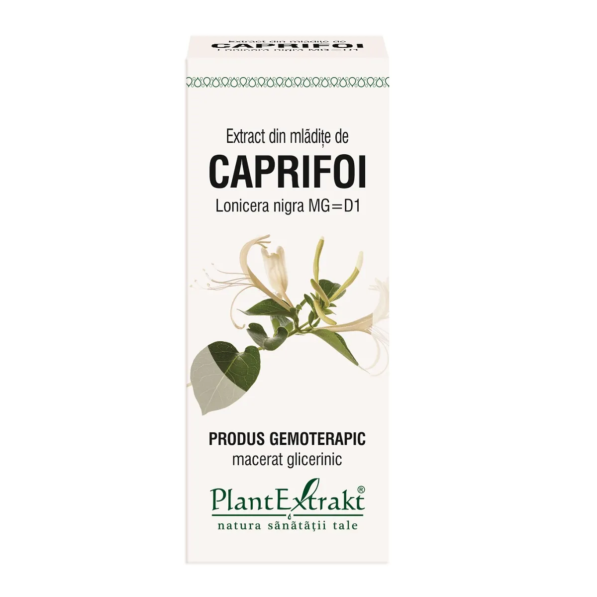 Extract din mladite de caprifoi negru, 50 ml, Plantextrakt