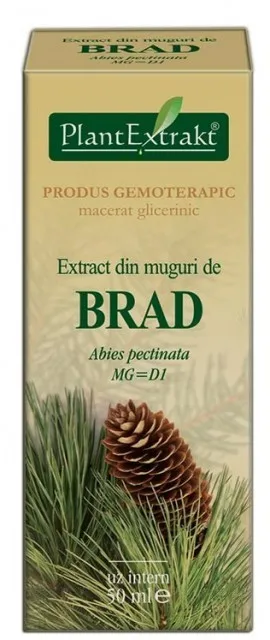 PLANTEXTRAKT EXTRACT DIN MUGURI DE BRAD PIC 50ML