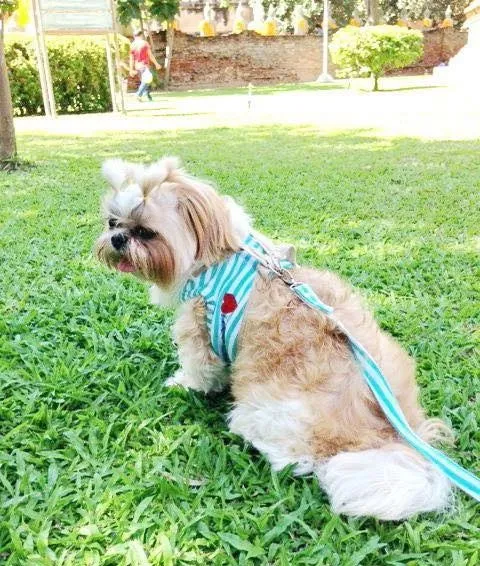 Tricou ham verde- Doggydolly - DCL125