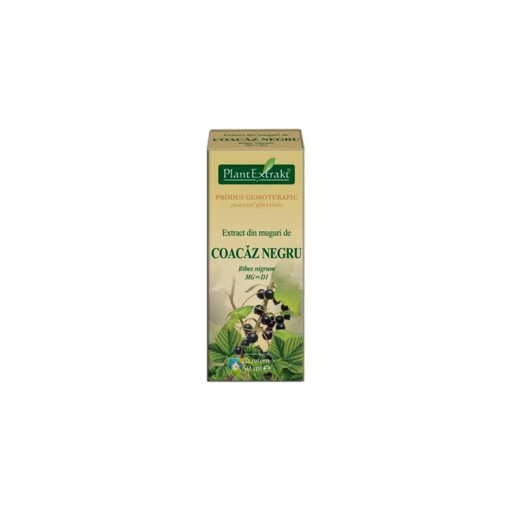 Tinctura Coacaz Negru