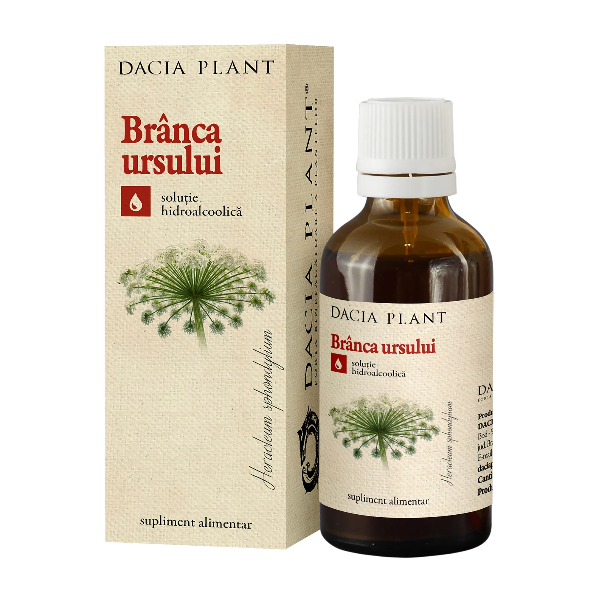 TINCTURA BRANCA URSULUI 50ML DACIA PLANT