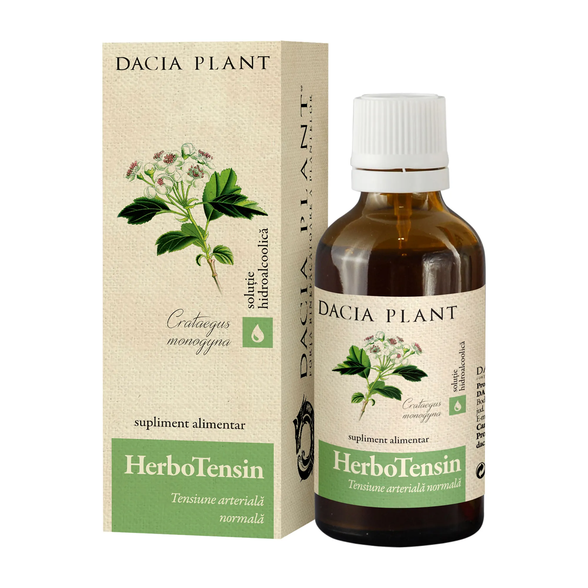 Herbo Tensin 50ml