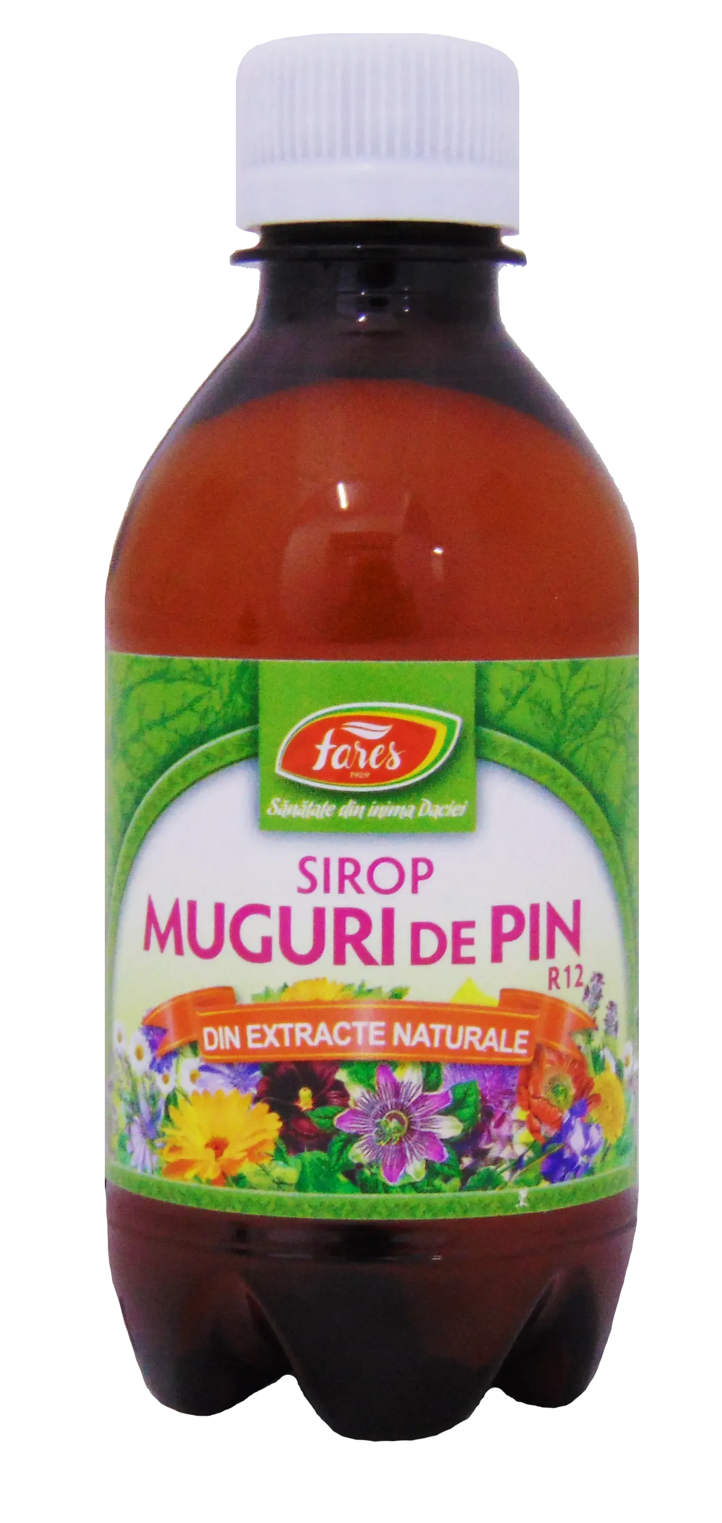 Fares Sirop Muguri Pin 250ml