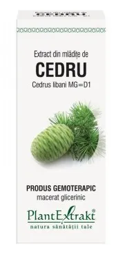 Extract din mladite de Cedru, 50 ml, Plantextrakt