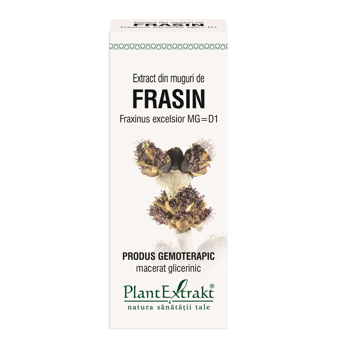 Extract din muguri de frasin, 50 ml, Plantextrakt