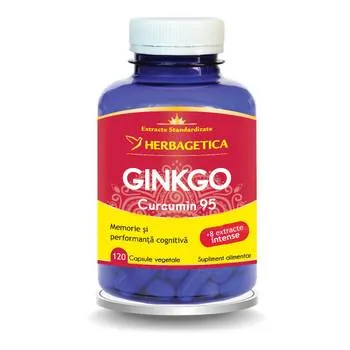 Ginkgo + Curcumin95, 120 capsule, Herbagetica