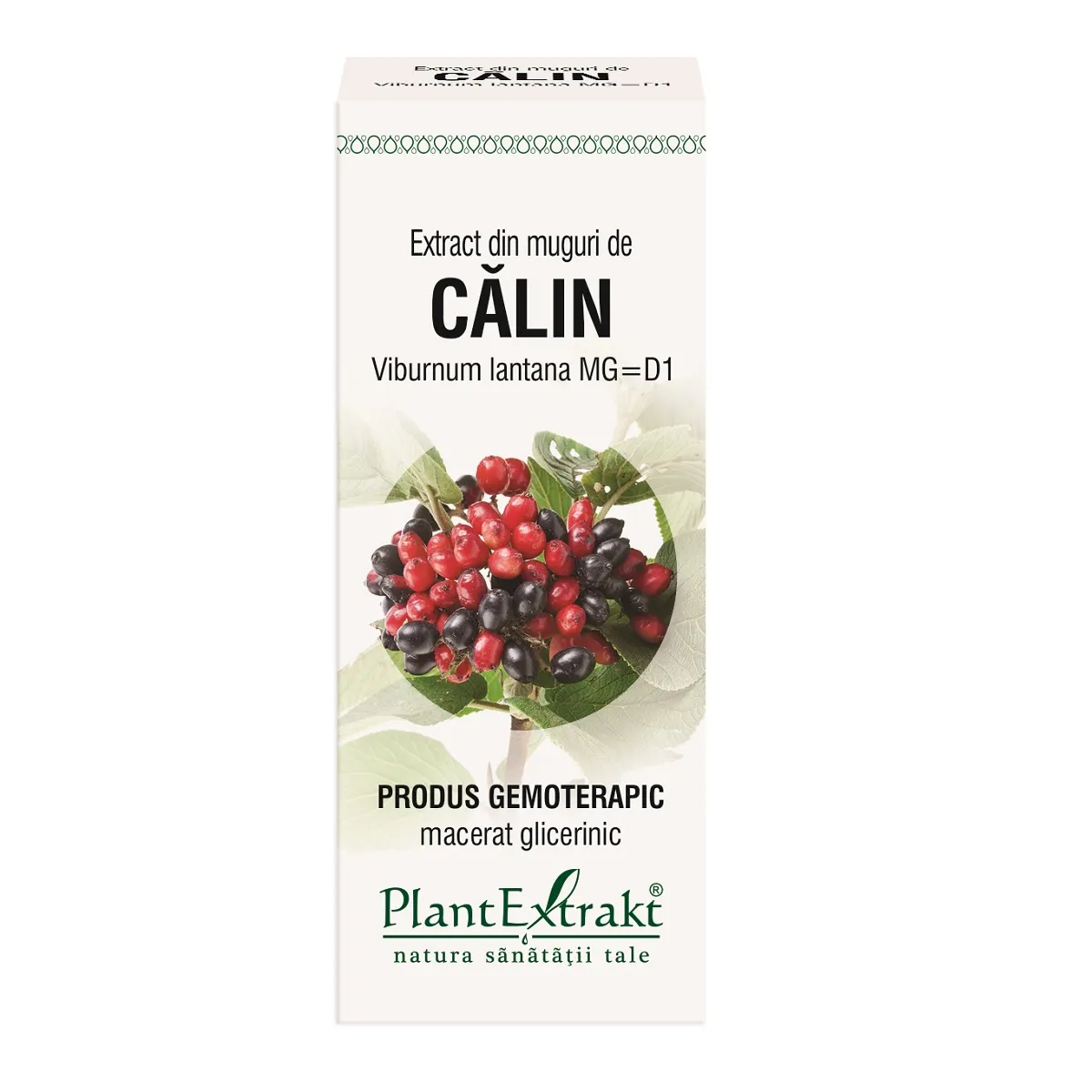 Extract din muguri de calin, 50 ml, Plantextrakt