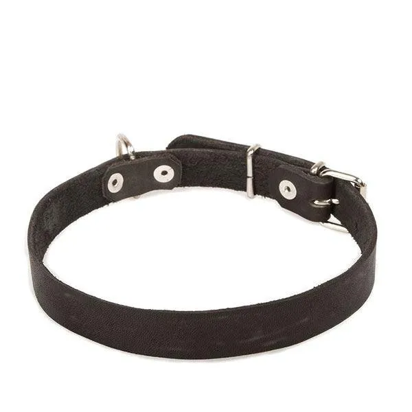 Zgarda Julius K9, piele, cu nituri - 16mmx45cm