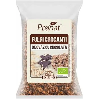 Fulgi crocanti din ovaz Bio, 250g, Pronat