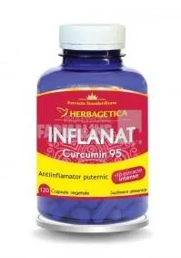 Inflanat Curcumin95 120 capsule