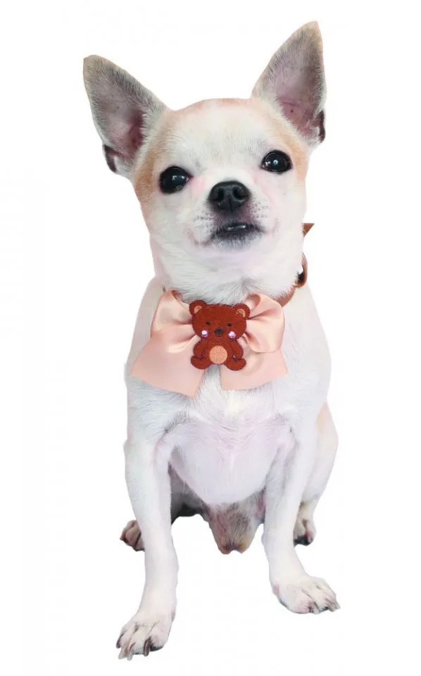 Zgarda Teddy - decor ursulet - F1205