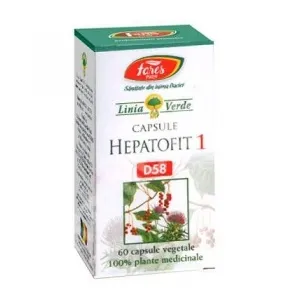 Hepatofit 1 ,60 capsule (Fares )