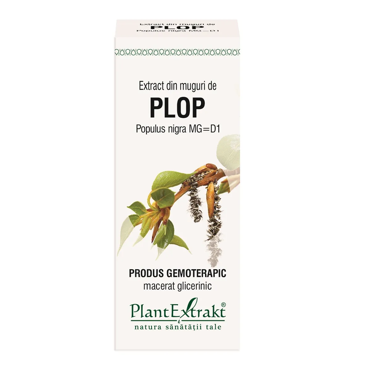 Extract din muguri de plop, 50 ml, Plantextrakt