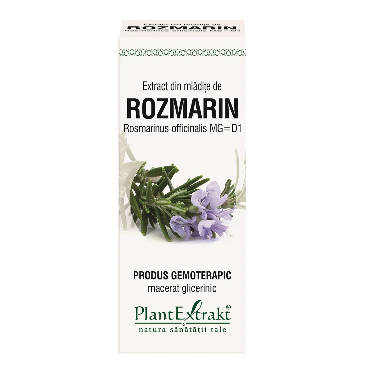 Extract din mladite de rozmarin, 50 ml, Plantextrakt