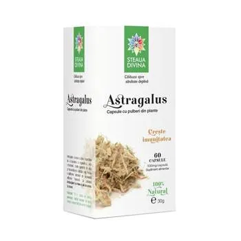 Astragalus 500mg, 60 capsule, Steaua Divina