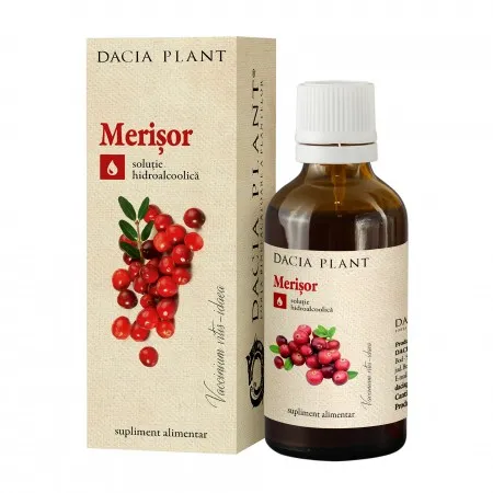 Tinctura merisor