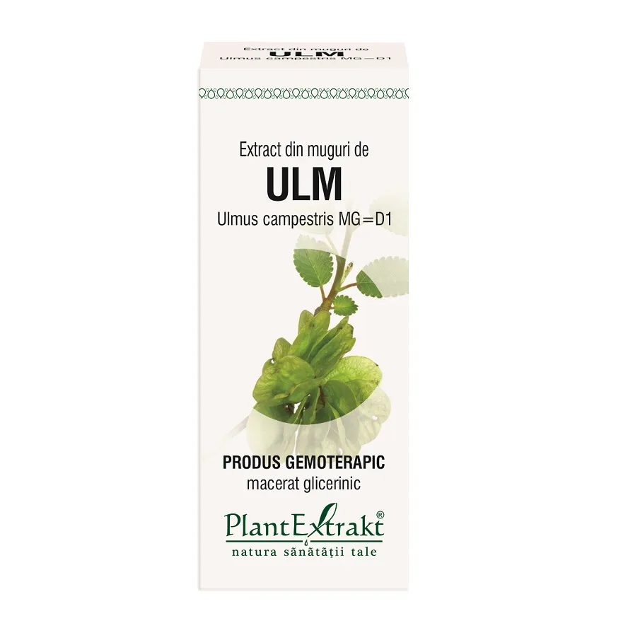 Extract din muguri de ulm, 50 ml, Plantextrakt