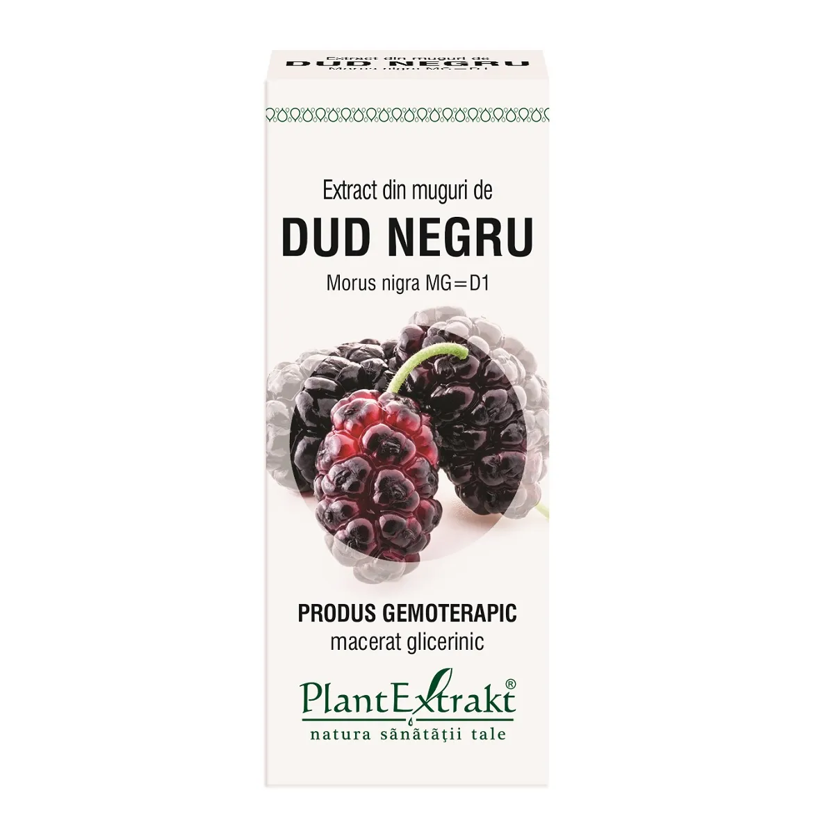 Extract din muguri de dud negru, 50 ml, Plantextrakt