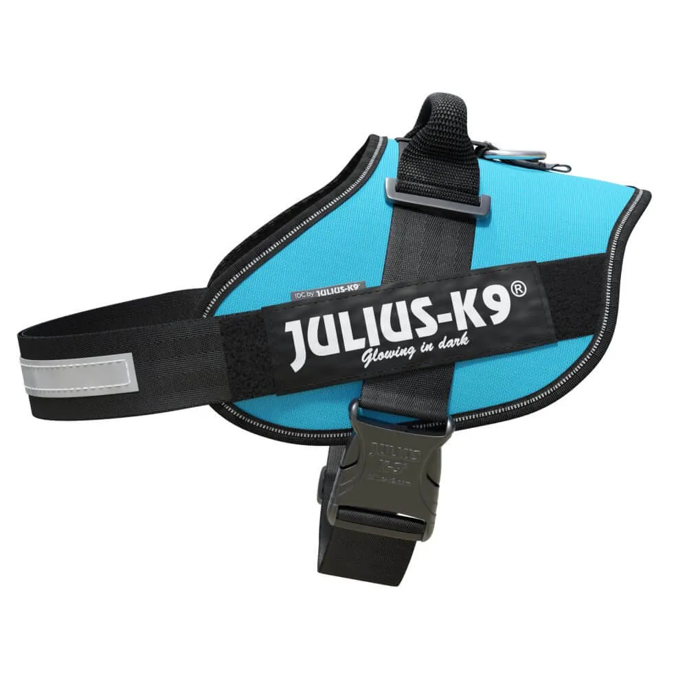 Ham JK9 IDC Power - 2XL - Aquamarine