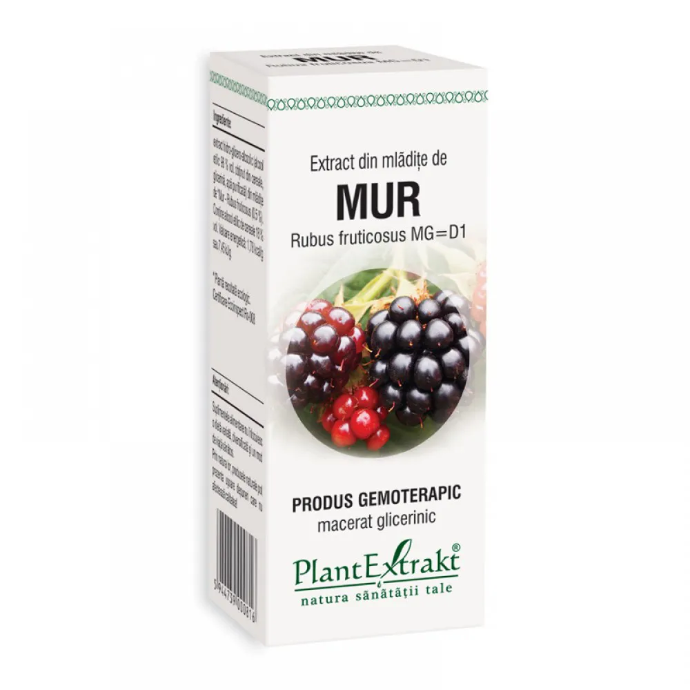 Extract din mladite de mur - Rubus Fructicosus MG=D1 (50 ml), Plantextrakt