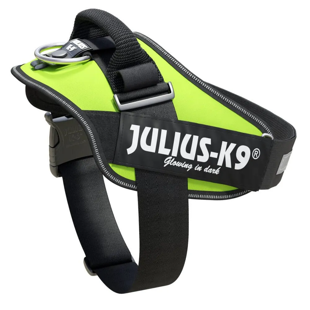 Ham JK9 IDC Power - L - Neon