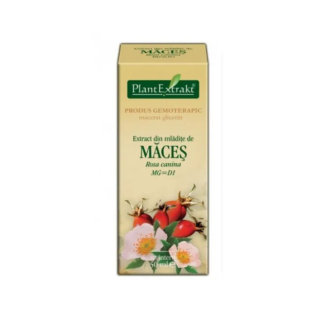 Tinctura Maces