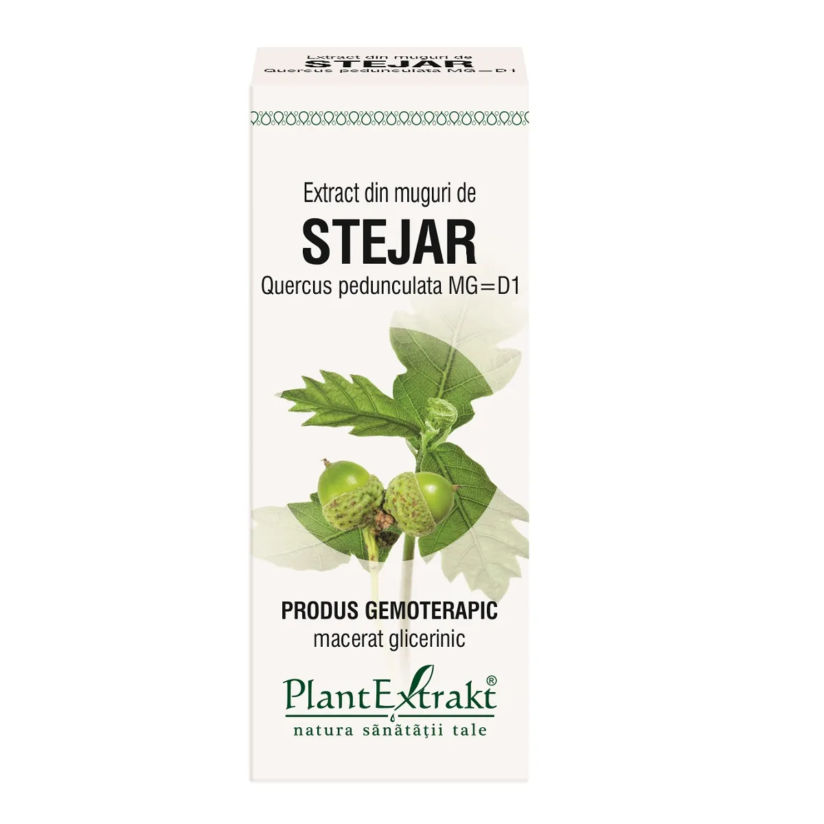 Extract din muguri de stejar, 50 ml, Plantextrakt