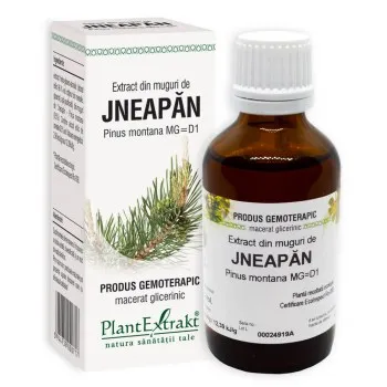 Extract din muguri de jneapan, 50 ml, Plantextrakt
