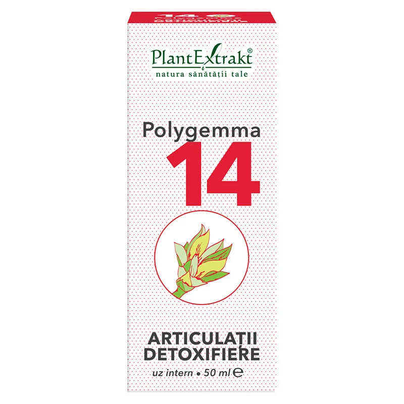 POLYGEMMA 14 ARTICULATII - DETOXIFIERE 50ML