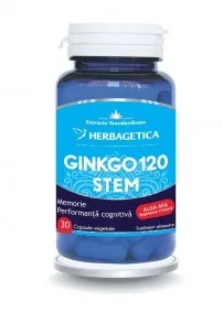 Ginkgo 120 Stem 30 capsule