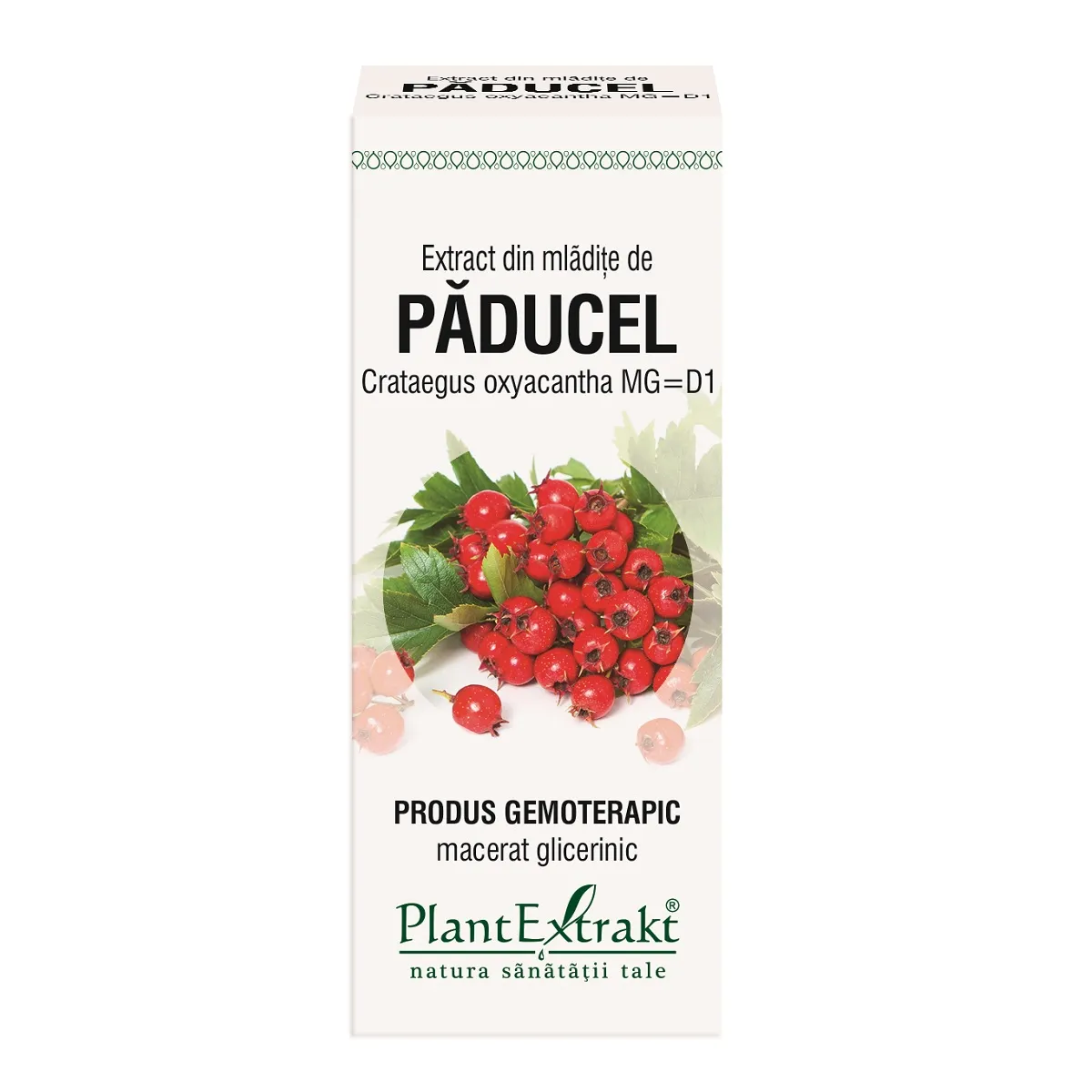 Extract din mladite de paducel, 50 ml, Plantextrakt