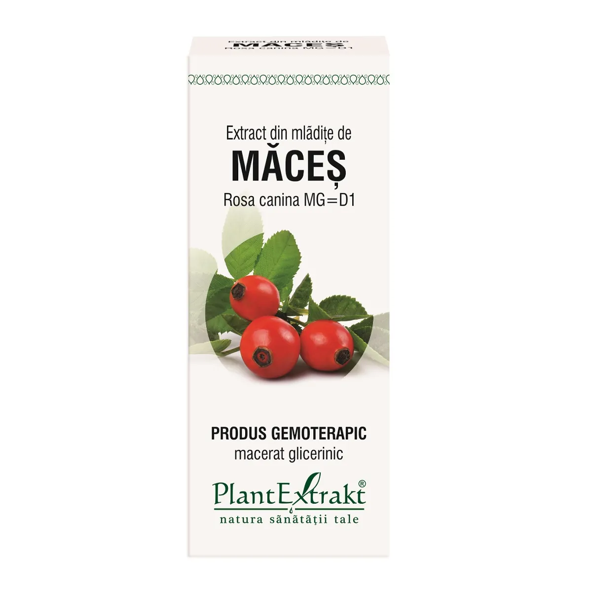 Extract din mladite de maces, 50 ml, Plantextrakt