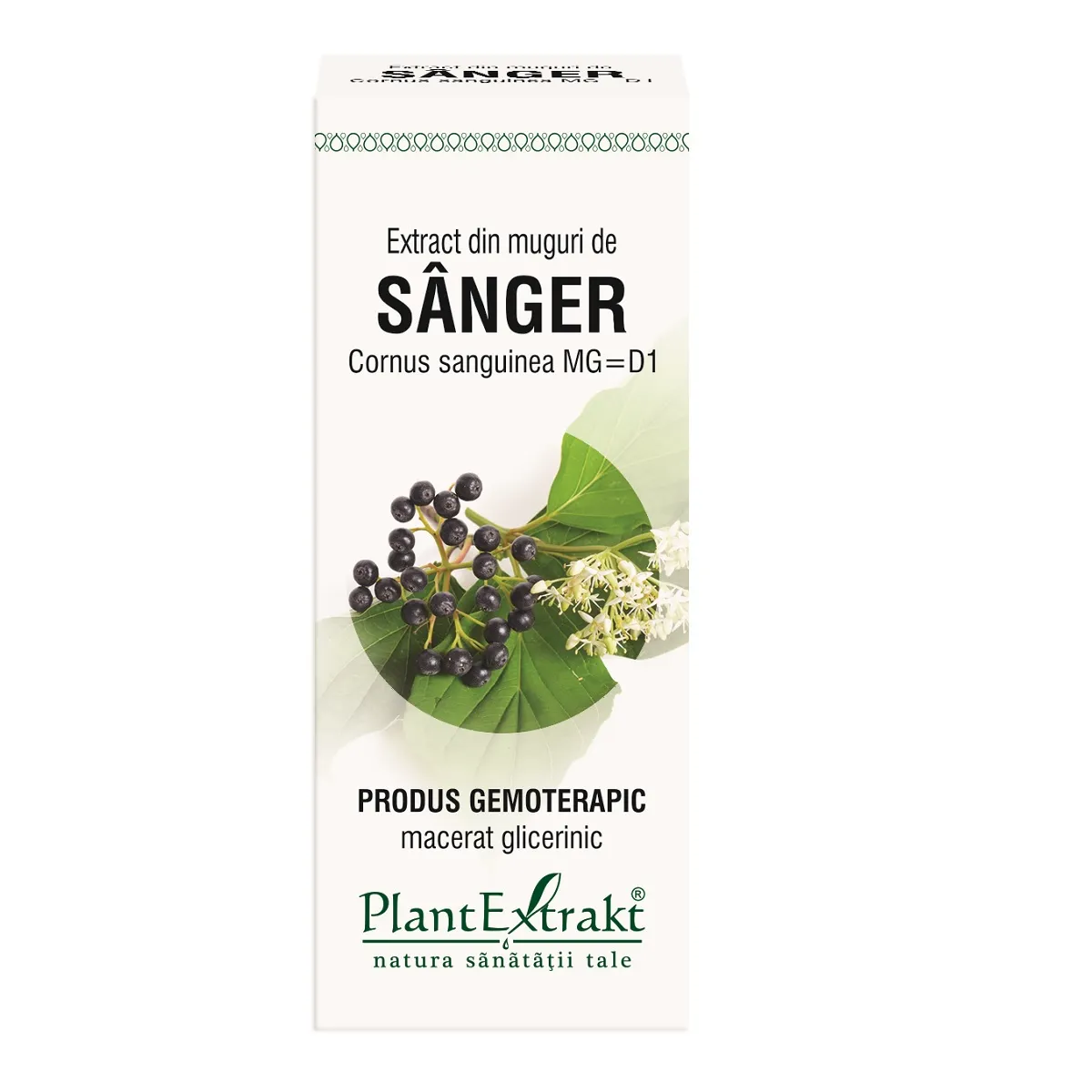 Extract din muguri de sanger, 50 ml, Plantextrakt