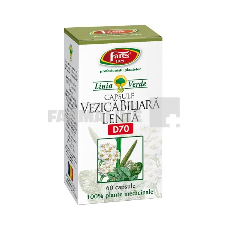 Medicamente pentru fiere / bila