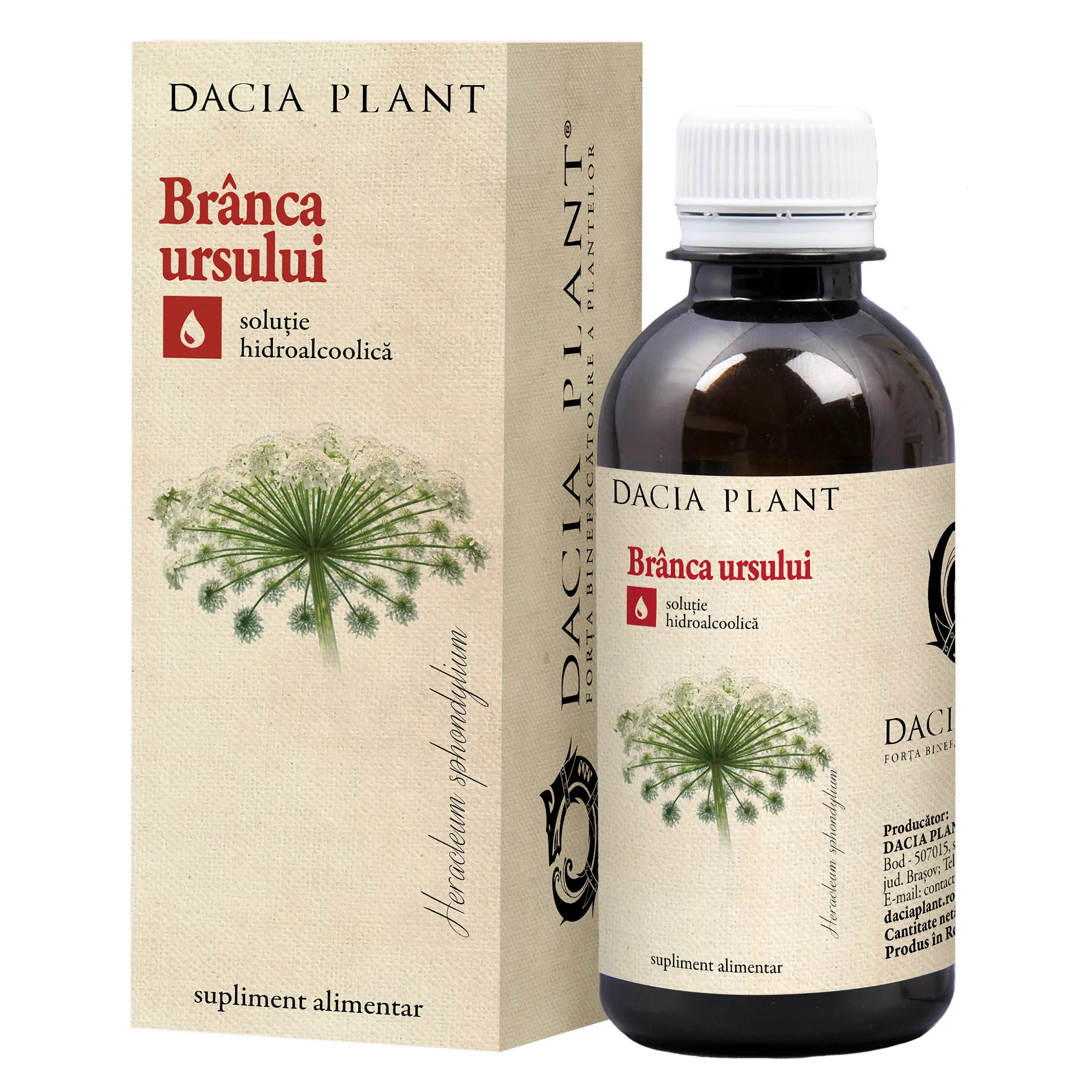 TINCTURA BRANCA URSULUI 200ML DACIA PLANT