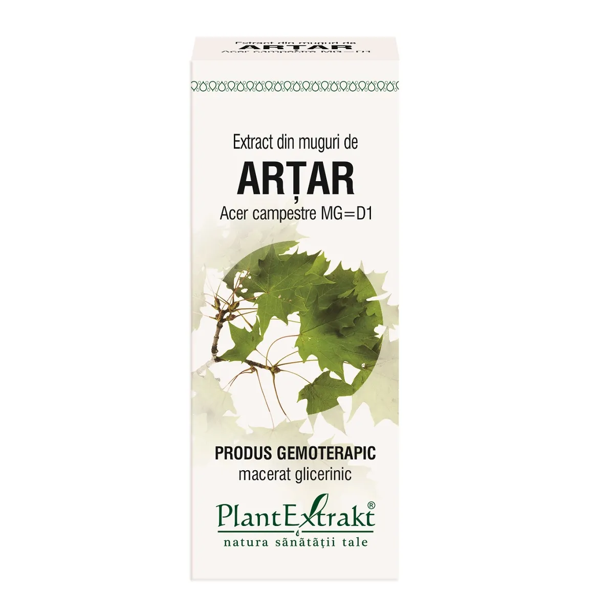 Extract din muguri de artar, 50 ml, Plantextrakt