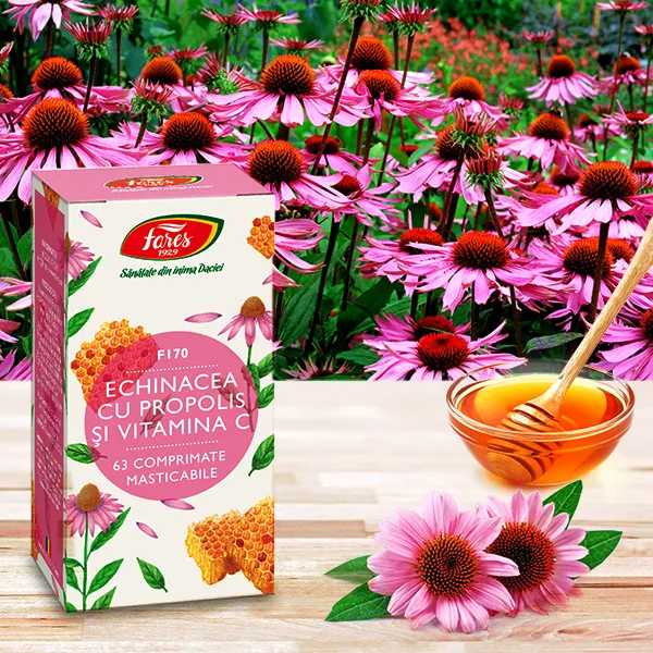 Echinacea,propolis,Vit.C x 60cp (Fares)