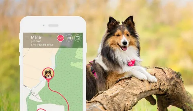 Dispozitiv localizare GPS - Tractive - Design roz cu cristale Swarovski