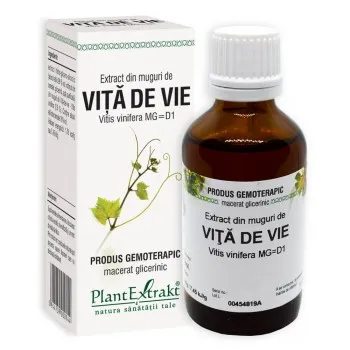 Extract din muguri de vita de vie, 50 ml, Plantextrakt