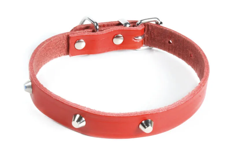 Zgarda piele cu tinte - 35cm