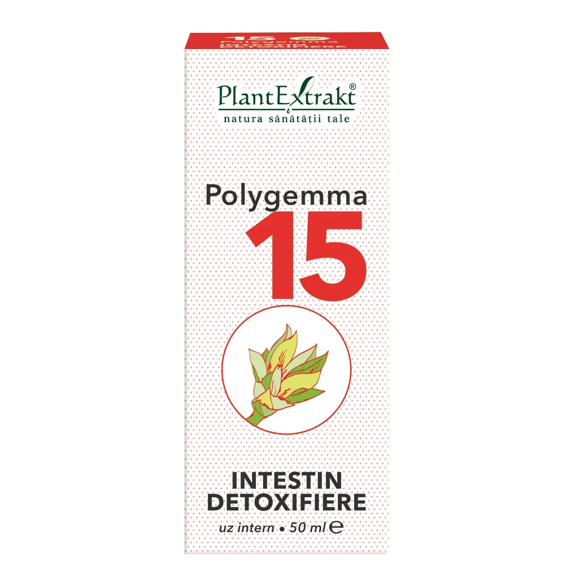 Polygemma 15 Intestin detoxifiere, 50 ml, Plantextrakt