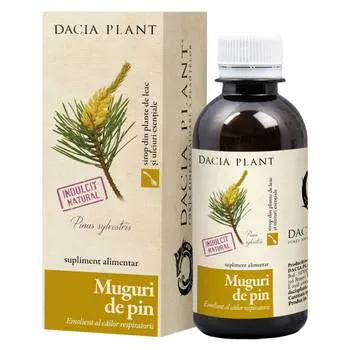 Sirop Muguri de Pin, 200 ml, Dacia Plant