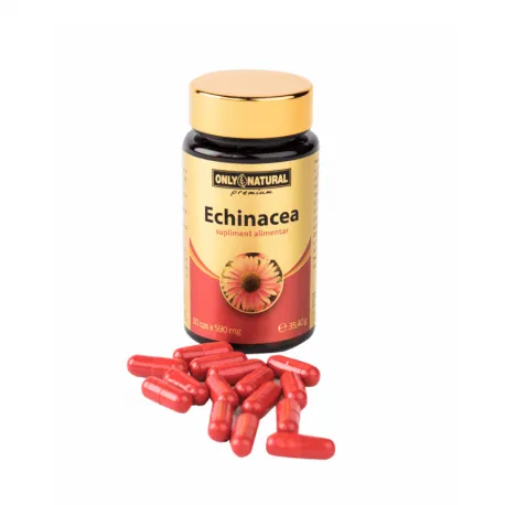ON Echinacea, 590 mg , 60 caps