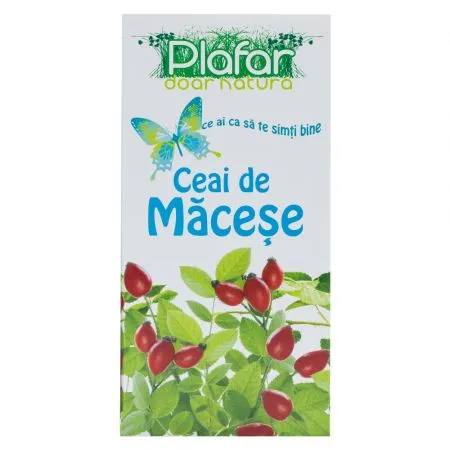 Ceai de Macese, 20 doze, Plafar