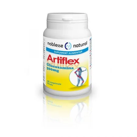 Artiflex, 60 comprimate, Noblesse